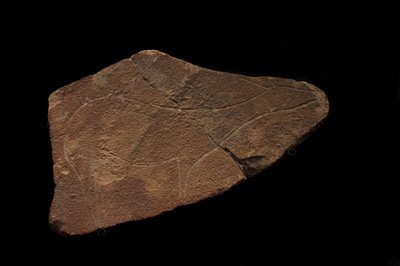 파르파요 동굴 (쿠에바 델 파르파요)